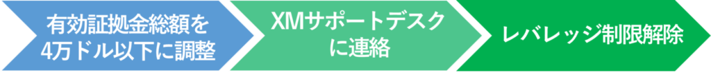 レバレッジ制限解除の手順