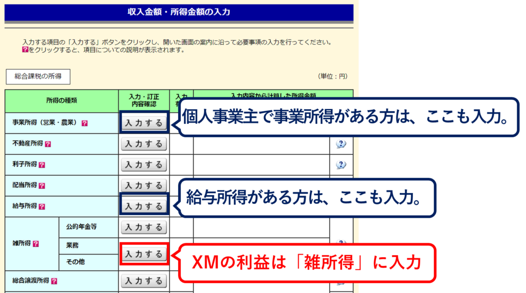 雑所得の欄にある「入力する」をクリック