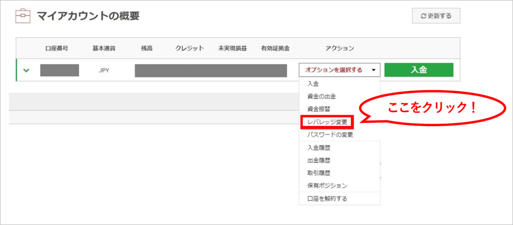 「オプションを選択する」というタブから「レバレッジ変更」をクリック